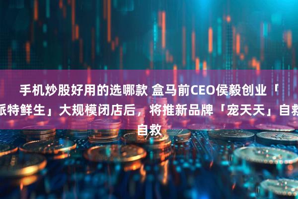 手机炒股好用的选哪款 盒马前CEO侯毅创业「派特鲜生」大规模闭店后，将推新品牌「宠天天」自救