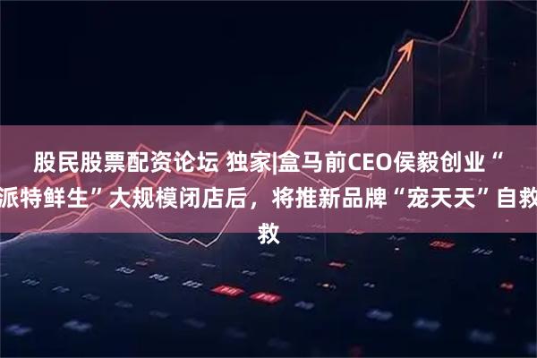 股民股票配资论坛 独家|盒马前CEO侯毅创业“派特鲜生”大规模闭店后，将推新品牌“宠天天”自救